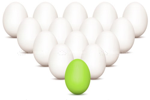 The Egg That Stands Out